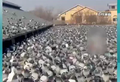 Germany