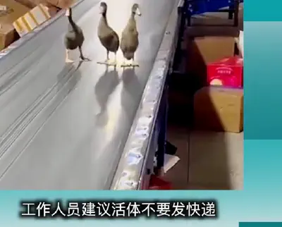 Anlu