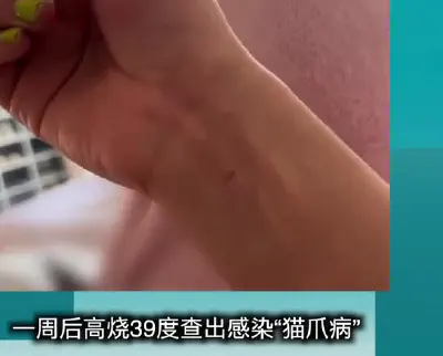 Fengcheng