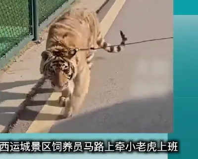 Yuncheng