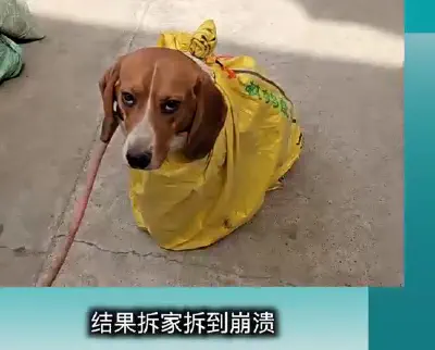 Henan Province