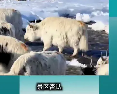 Yunnan Province