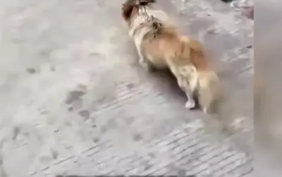 Guangzhou