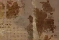 News Map