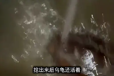 Guizhou