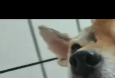 Henan